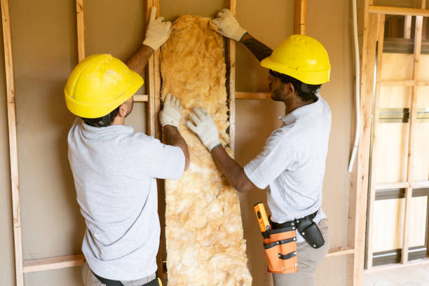 Best Garage Insulation Installation  in Hurricane, WV